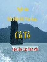 Tiết 100+101. văn bản: Cô Tô