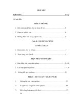 sáng kiến kinh nghiệm Một số biện pháp giáo dục đạo đức cho học sinh cá biệt trong trường Tiểu học