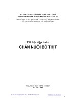 tài liệu tập huấn chăn nuôi bò thịt