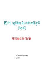 Bộ TN ảo Lý 8