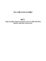 SKKN Một số biện pháp giáo dục bảo vệ môi trường trong trường mầm non