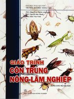giáo trình côn trùng nông lâm nghiệp