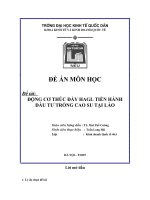 TIỂU LUẬN ĐỘNG CƠ THÚC ĐẨY HAGL TIẾN HÀNH ĐẦU TƯ TRỒNG CAO SU TẠI LÀO