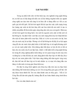 đồ án công nghệ thông tin Thực trạng và giải pháp về phát triển công nghệ phần mềm trên thế giới những kinh nghiệm và bài học với Việt Nam