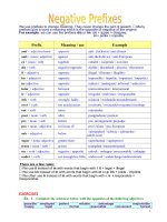 Negative Prefixes