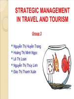 Strategic management in travel and tourism