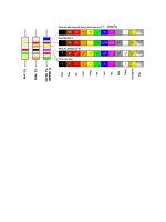 dien tro co vong mau