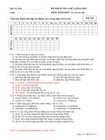 Kiem Tra 45 phut-lop 11 theo chuan