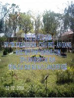 bài 7 khởi nghĩa Bảy Thưa