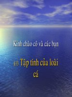 một sô tap tính cua loai ca