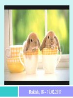 Các kĩ thuật biên soạn đề KT(tiếp theo) - 2011