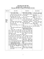 KẾ HOẠCH CHỦ ĐỀ TẾT VÀ MÙA XUÂN