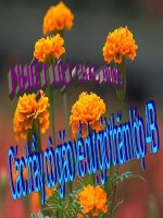 Bài: Mở rộng vốn từ Trung thực - Tự trọng