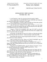 Báo cáo kế hoạch phát triển