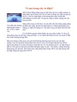 Vì sao trong cây có điện?