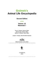 bo su tap hinh dong vat tap 4 dong vat duoi 4 chan