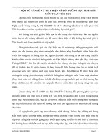 Một số vấn đề về phát hiện và bồi dưỡng HSG môn Toán tiểu học