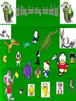 ẢNH ĐỘNG, HÌNH NỀN ĐỘNG