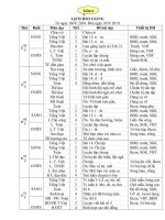 Giao an L1(2 buoi) Tuan 4- CKTKN