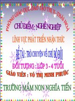 tim hieu ve cac chu bo doi