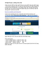 CD Nghi lễ Việt Nam - phục vụ Đảng, Đoàn, Đội