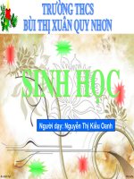 T48 Thỏ (Học theo góc)