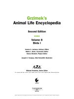 bo su tap hinh dong vat tap4 dong vat  cac loai chim