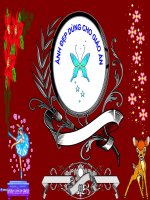 Ảnh đẹp cho bài giảng