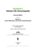 bo su tap hinh dong vat tap 1 dong vat duoi nuoc