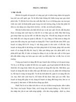 phương pháp quy hoạch sử dụng đất lâm nghiệp thôn bản