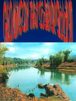 bài 41.moi truong va cac nhan to sinh thai