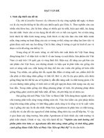 Nghiên cứu ảnh hưởng chế phẩm phân bón hữu cơ Agrodream đến khả năng nhân giống vô tính bằng giâm cành giống Shan Chất Tiền và Phúc Vân Tiên tại Phú Hộ