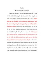 tiểu luận Mô tả vương quốc Đàng Ngoài