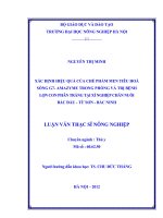 Xác định hiệu quả của chế phẩm men tiêu hoá sống g7 amazyme trong phòng và trị bệnh lợn con phân trắng tại xí nghiệp chăn nuôi bắc đẩu từ sơn bắc ninh