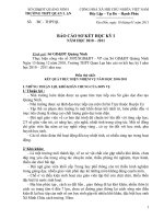 BÁO CÁO SƠ KẾT HỌC KỲ I