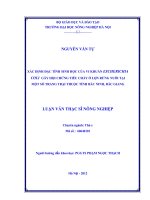 Xác định đặc tính sinh học của vi khuẩn escherrichia colo gây hội chứng tiêu chảy ở lợn rừng nuôi tại một số trang trại thuộc tỉnh bắc ninh, bắc giang