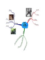 Văn 9 - Bản đồ tư duy