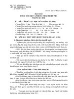 BÁO CÁO ĐỘI THÁNG 02/2011