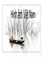 Hình ảnh Việt Nam