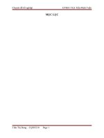 Hoàn thiện hệ thống xếp hạng tín dụng cá nhân tại ngân hàng TMCP Sài Gòn Thương tín