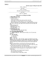 Giáo án lớp 2 - Tuần 21