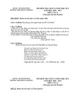 Đề kiểm tra học kì Văn 12