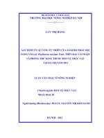 Xác định tỷ lệ tăng tự nhiên của loài bọ nhảy sọc cong vỏ lạc phyllotreta striolata fabr  trên rau cải ngọt và phòng trừ bằng thuốc bảo vệ thực vật tại hà nội năm 2011