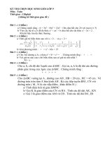 Đề thi chọn Học sinh giỏi Toán 9_2