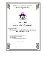 BÁO CÁO THỰC TẬP TỔNG HỢP SỞ GIAO DỊCH NGÂN HÀNG THƯƠNG MẠI CỔ PHẦN NGOẠI THƯƠNG VIỆT NAM