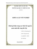 Đánh giá hiện trạng suy thoái tài nguyên nước dưới đất vùng hà nội
