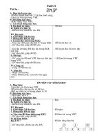 giao an lop 1 buoi chieu tuan 13