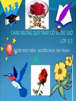 chao mung quy thay co ve du do