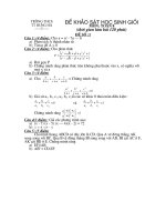 ĐÊ- ĐÁP ÁN HSG TOÁN 8-11