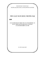 Tiểu Luận: Các Giải Pháp Hoàn Thiện Công Tác Thẩm Định Dự Án Đầu Tư Trong Quyết Định Cho Vay Dài Hạn Của Chi Nhánh Bidv Cần Thơ
